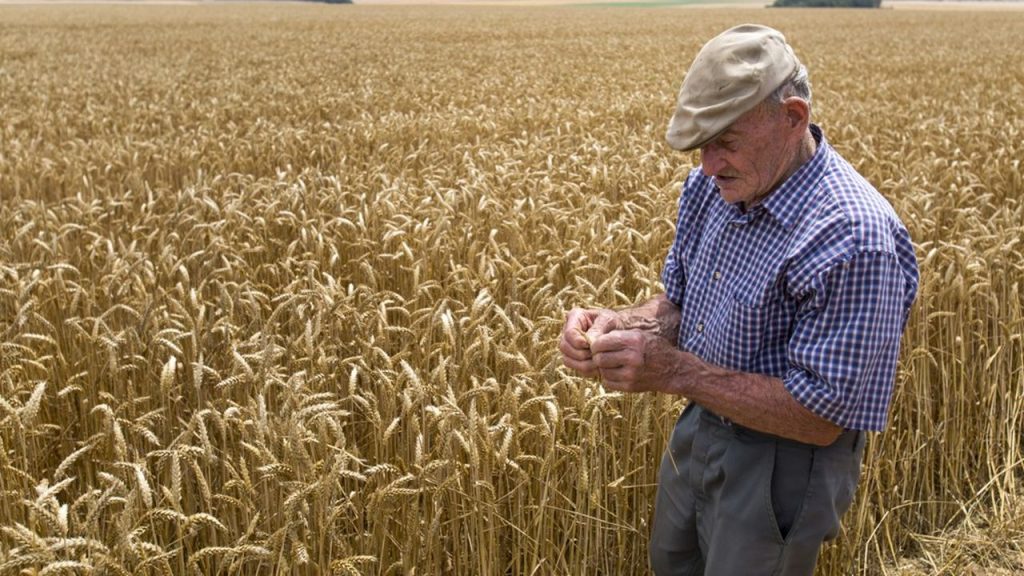 Plusieurs lois ont tenté ces dernières années d'améliorer les retraites des agriculteurs, aujourd'hui très faibles.